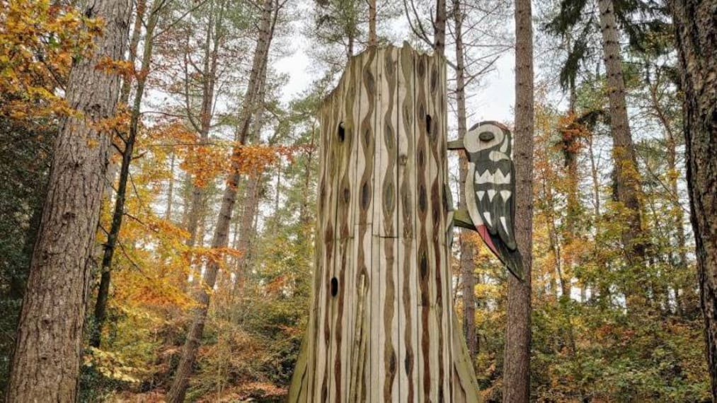 Surrey_Alice_Holt_Forest_2