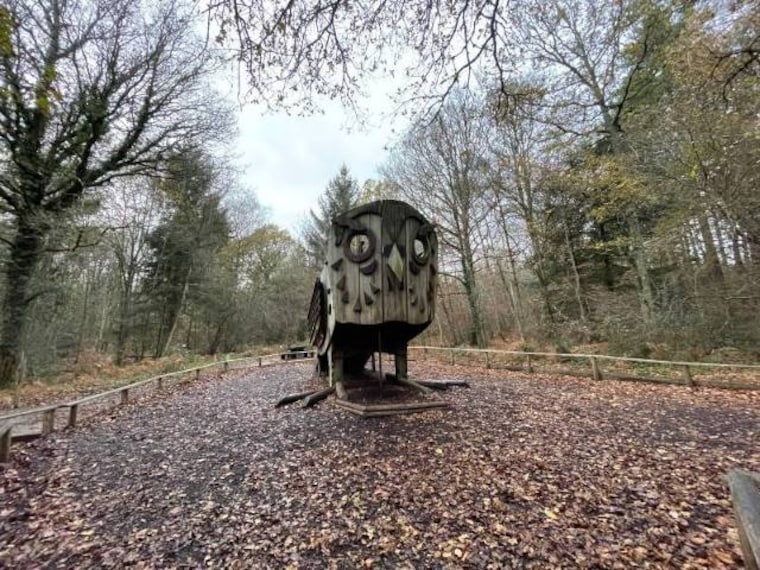 Surrey_Alice_Holt_Forest_5