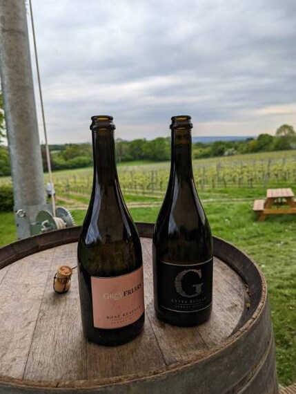 Surrey_Greyfriars_Vineyard_5