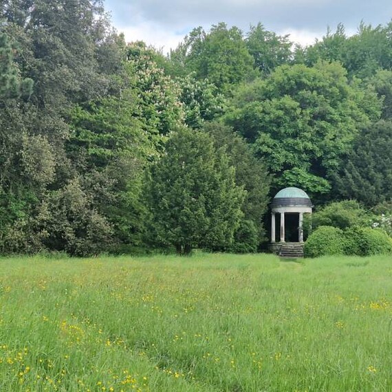 Surrey_Hatchlands_Park_6