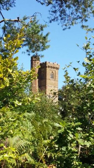 Surrey_Leith_Hill_&_Tower_6