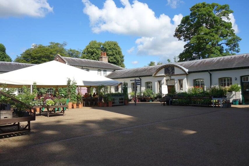 Surrey_Polesden_Lacey_9