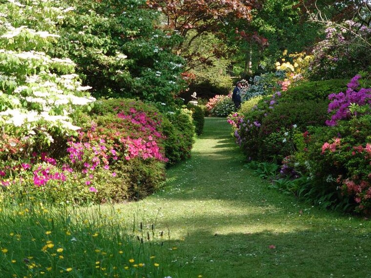 Surrey_Ramster_Garden_2