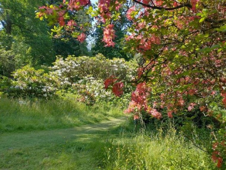 Surrey_Ramster_Garden_4