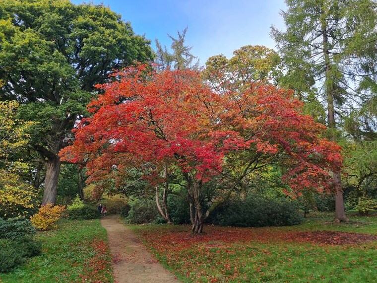 Surrey_Ramster_Garden_5