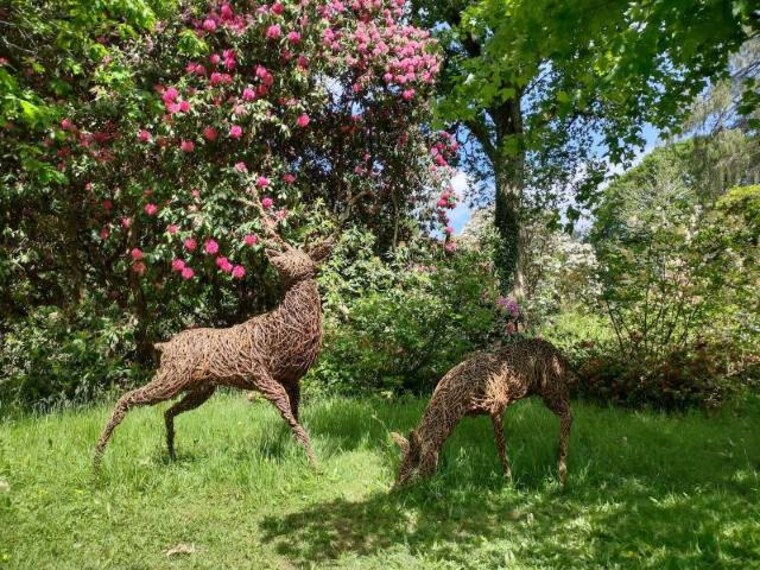 Surrey_Ramster_Garden_8