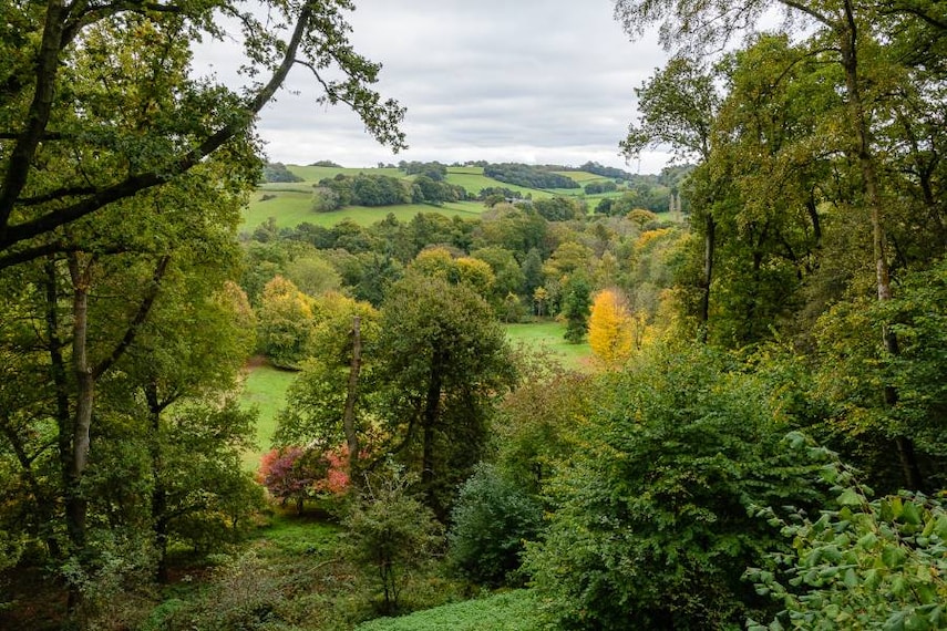 Surrey_Winkworth_Arboretum_1