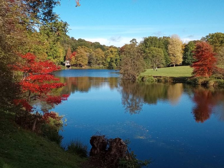Surrey_Winkworth_Arboretum_2