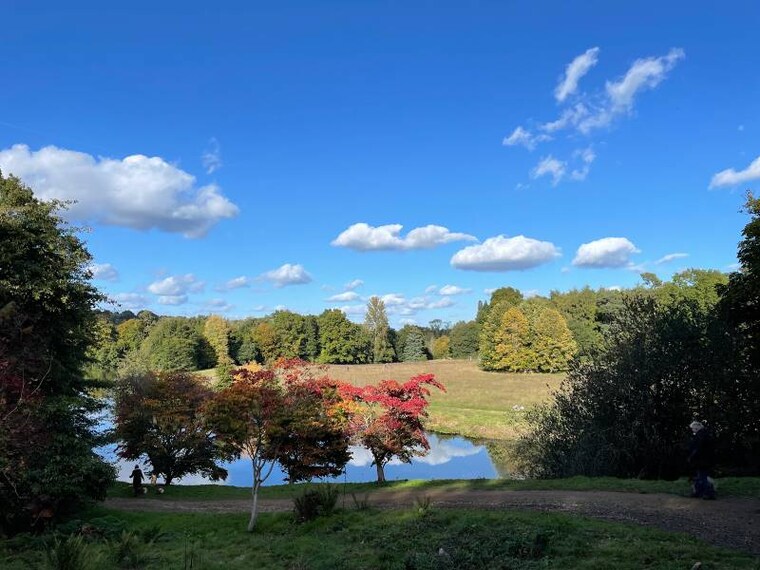 Surrey_Winkworth_Arboretum_6