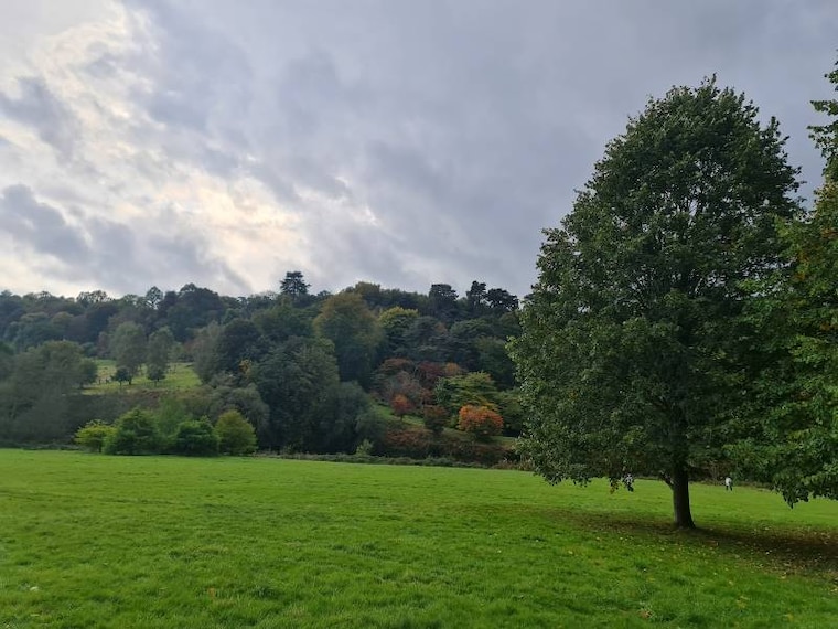 Surrey_Winkworth_Arboretum_8