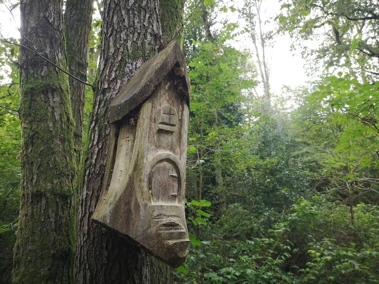 Surrey_Winkworth_Arboretum_9