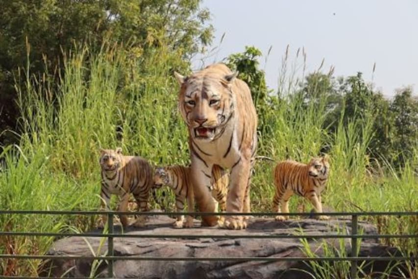 tadoba_gadchiroli_forest_reserve