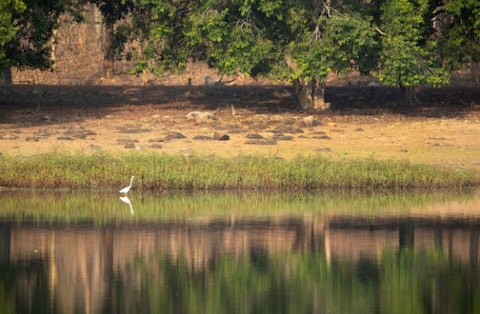 Tadoba Lake