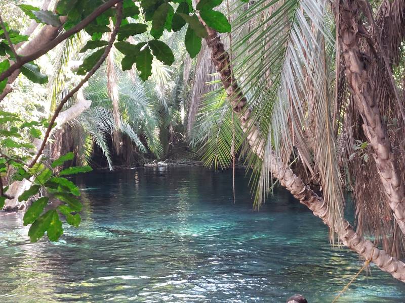 Moshi_Urban_Kikuletwa_Hotsprings_1