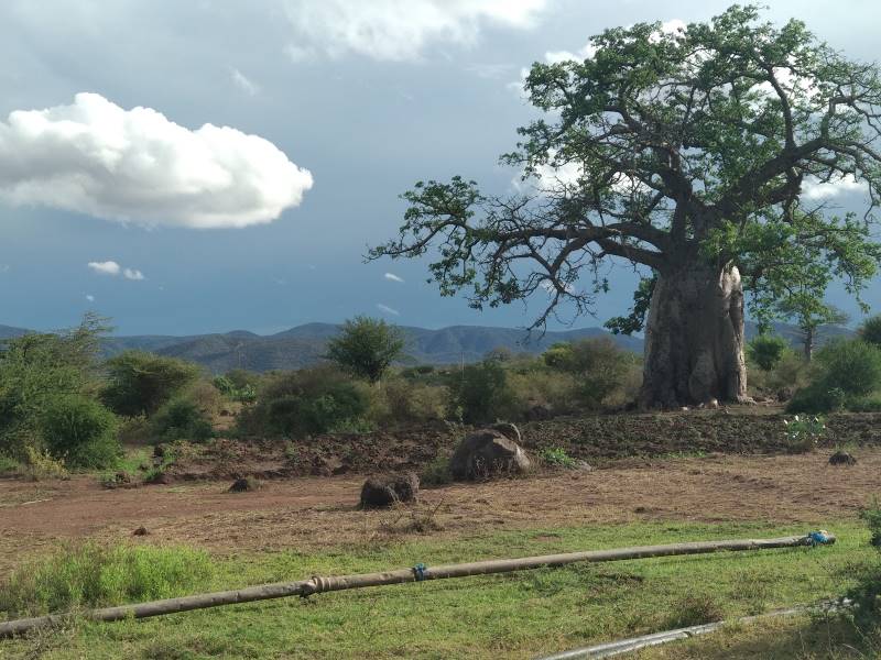 Moshi_Urban_Kikuletwa_Hotsprings_8