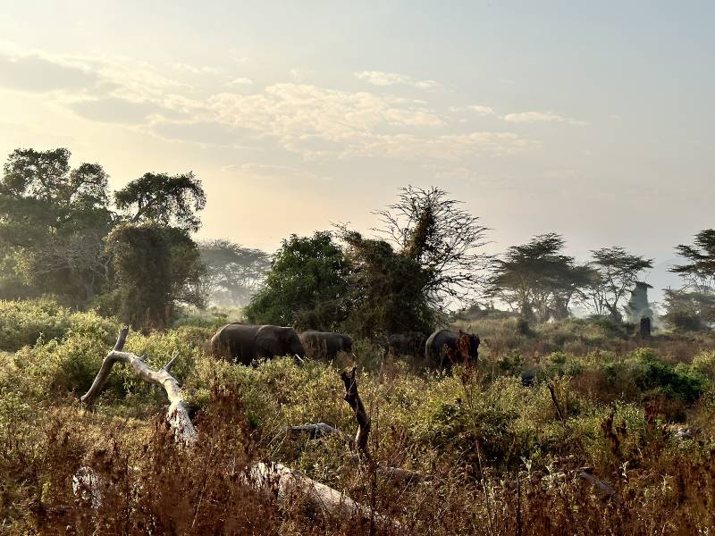 Moshi_Urban_Makasa_Tanzania_Safaris_2