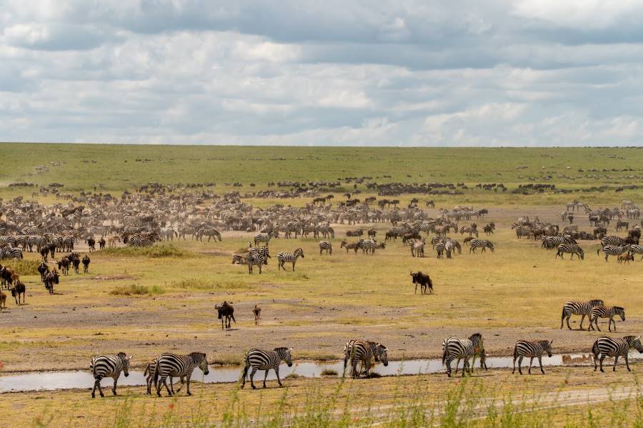 Moshi_Urban_Makasa_Tanzania_Safaris_9