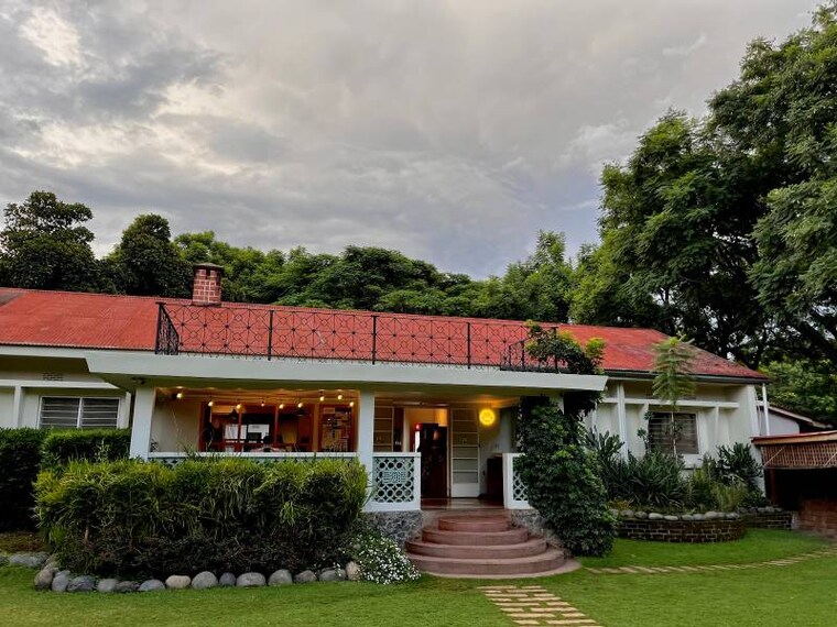 Moshi_Urban_Jackfruit_Cafe_7