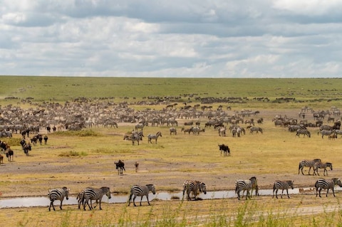 Makasa Tanzania Safaris