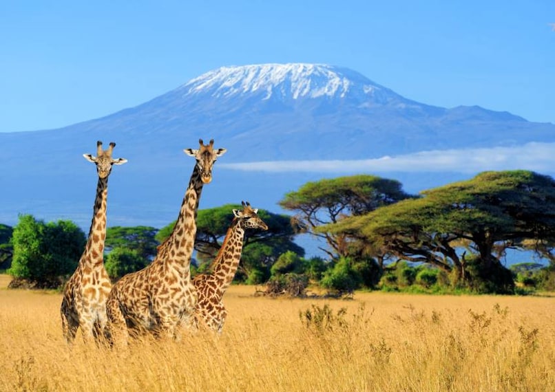 Moshi_Urban_Mount_Kilimanjaro_2