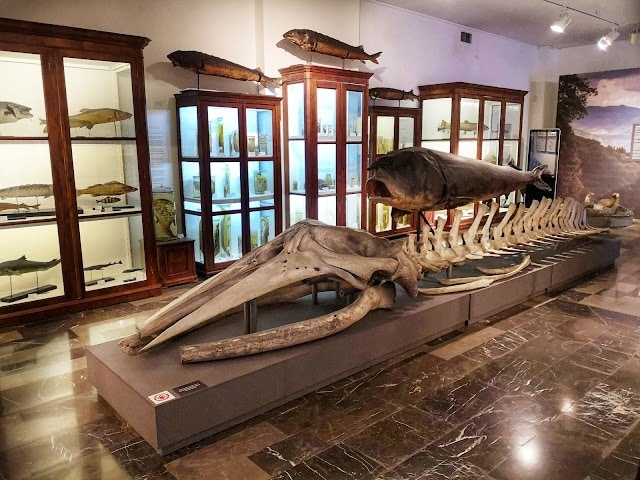 Georgian_National_Museum_3