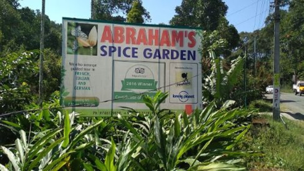 Thekkady Abrahams Spice Garden Landscape Image