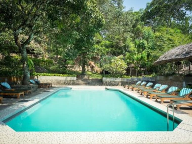 Thekkady All Spice Landscape Image