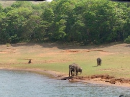 Periyar Wildlife Sanctuary