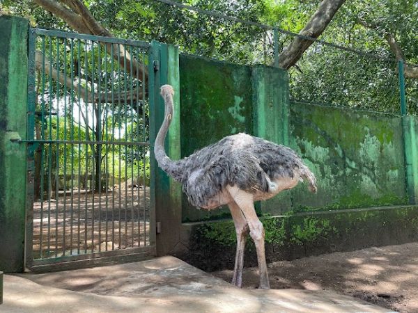 Thrissur_zoo_and_state_museum_1