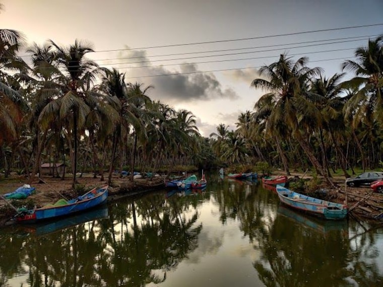 Chettuva_backwater_1