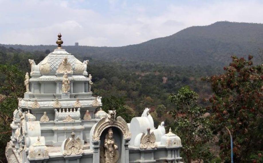 Tirupati Papavinasanam Landscape Image
