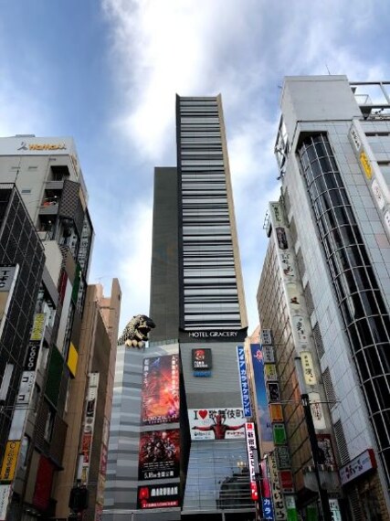 Kabukicho-2