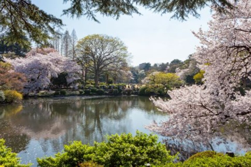 tokyo_shinjuku_gyoen_national_garden