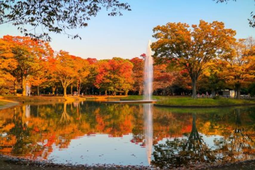 tokyo_yoyogi_park