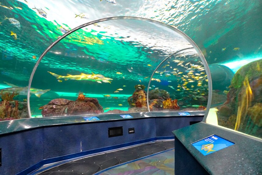 ripleys-aquarium-toronto-2