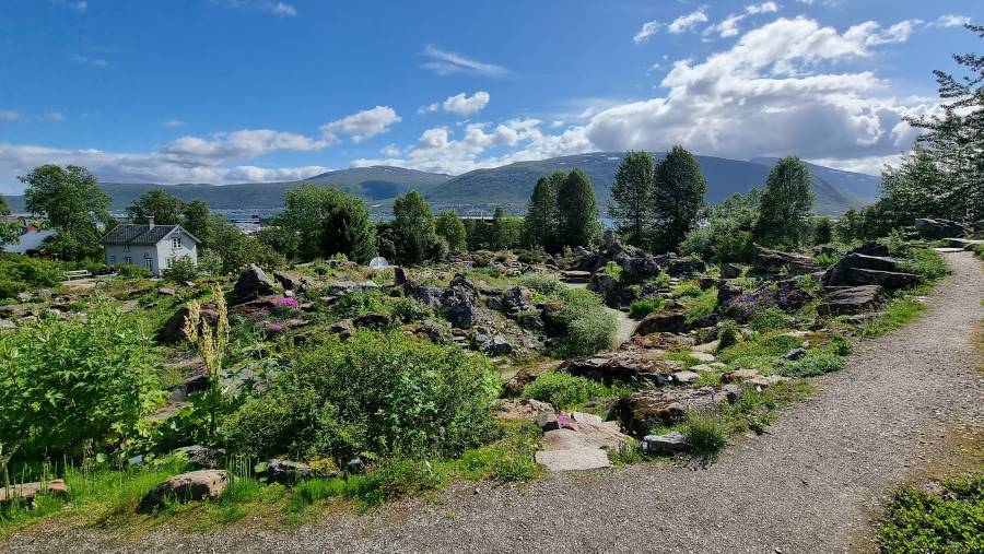 Tromso_Arctic_Alpine_Botanic_Garden_2