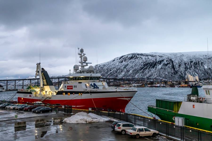Tromso_Hafen_von_Tromso_3