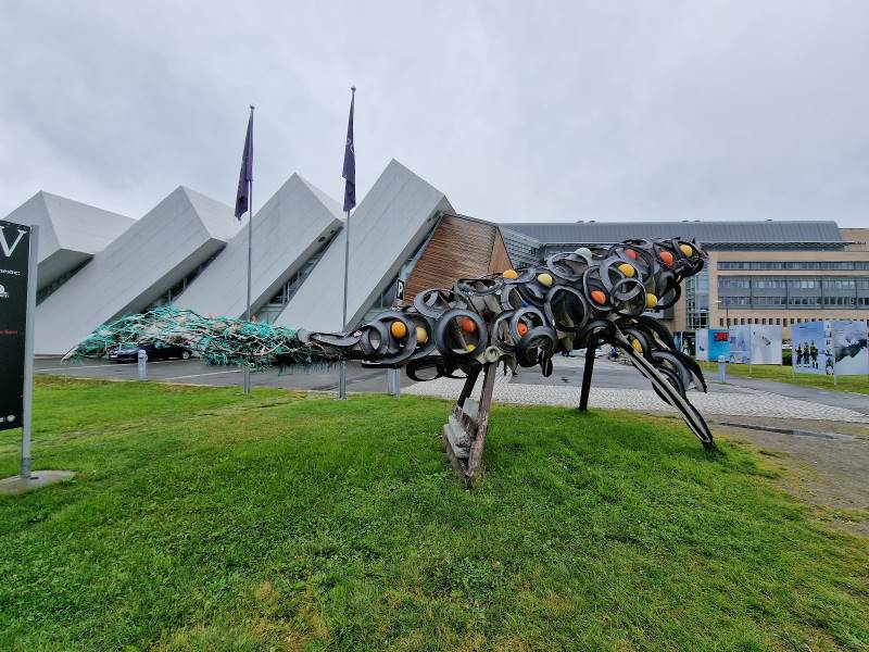 Tromso_Polaria_Aquarium_8
