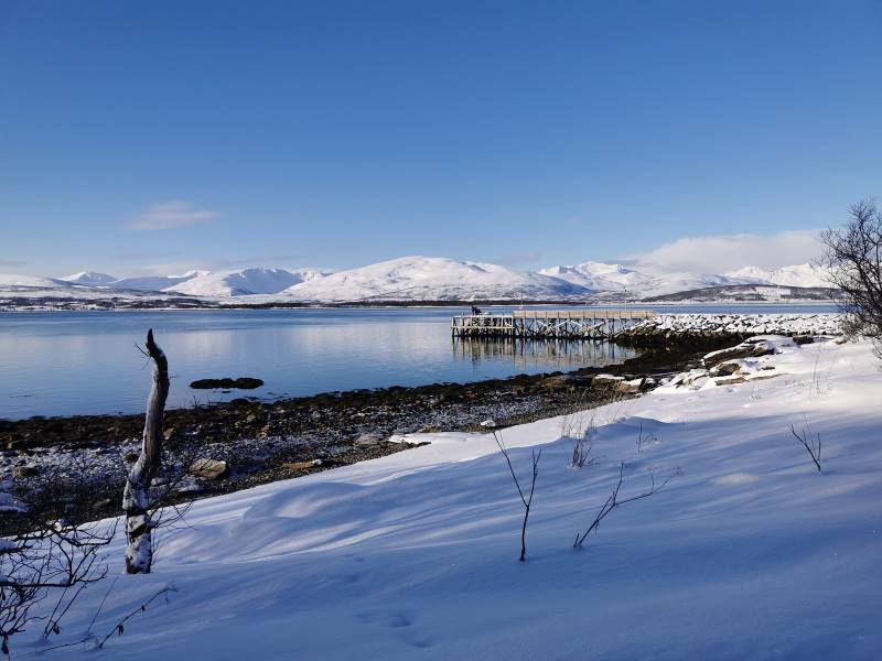 Tromso_Spiaggia_meridionale_di_Tromso_7