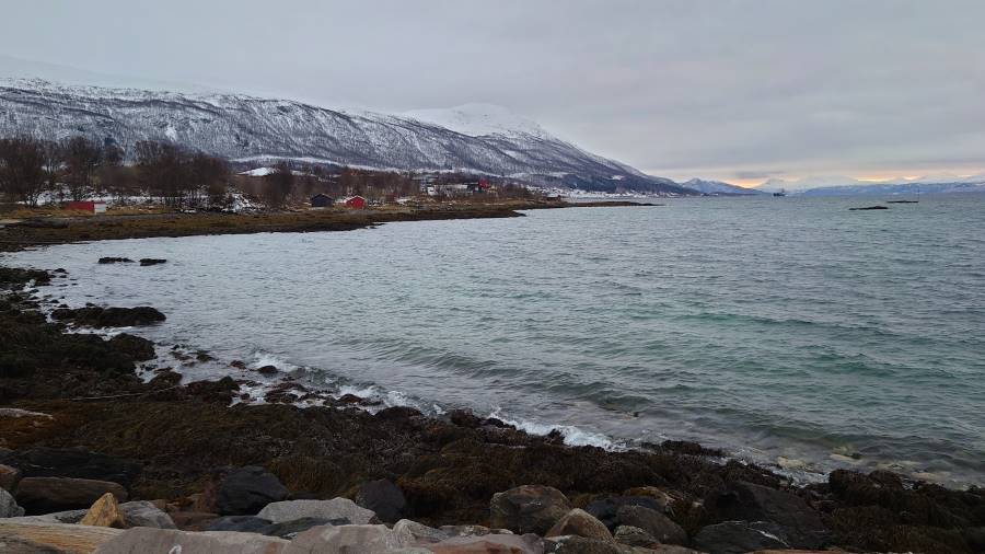 Tromso_Spiaggia_meridionale_di_Tromso_8