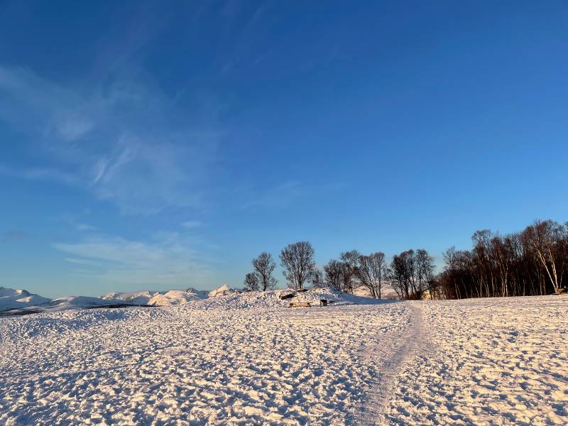 Tromso_Spiaggia_meridionale_di_Tromso_9