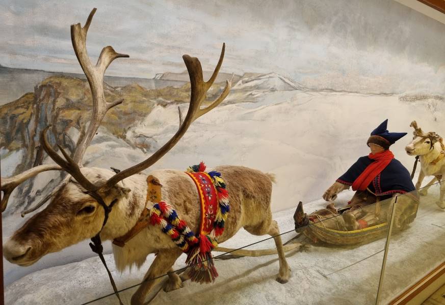 Tromso_The_Arctic_University_Museum_of_Norway_2