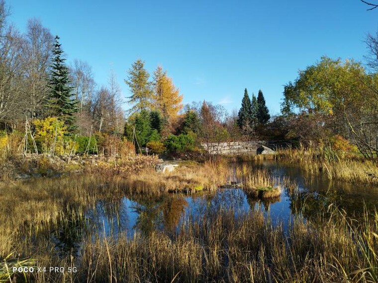 Tromso_Arctic_Alpine_Botanic_Garden_9