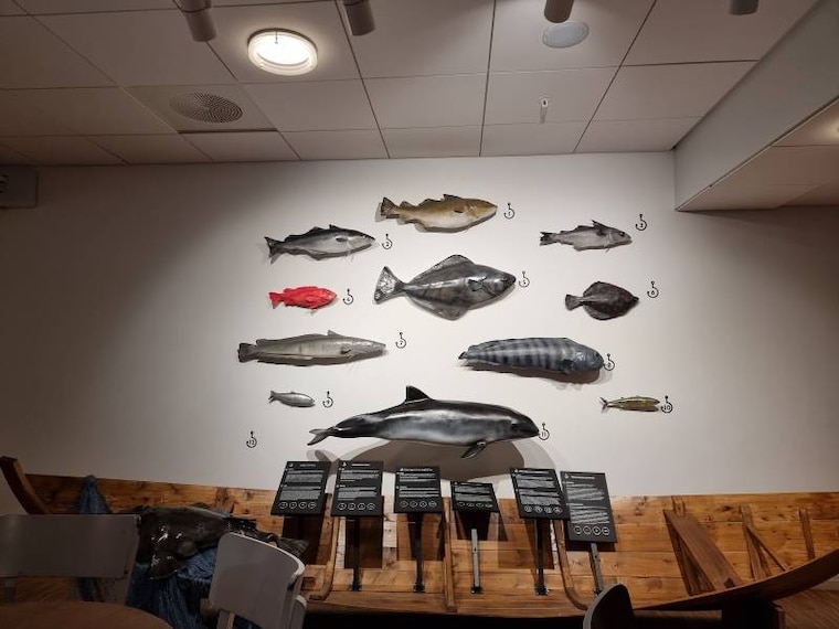 Tromso_Blue_Vision_3