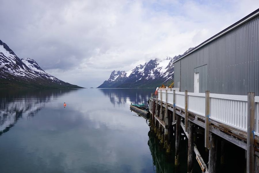 Tromso_Ersfjordbotn_7