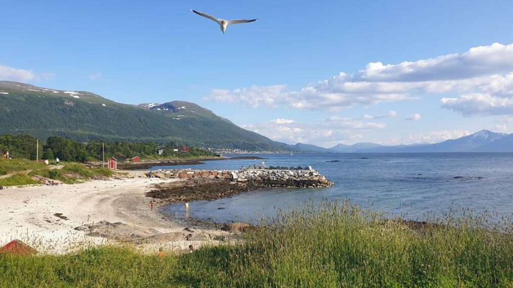 Tromso_Folkeparken_1