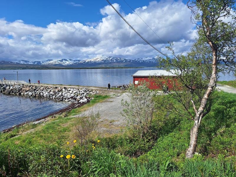 Tromso_Folkeparken_3
