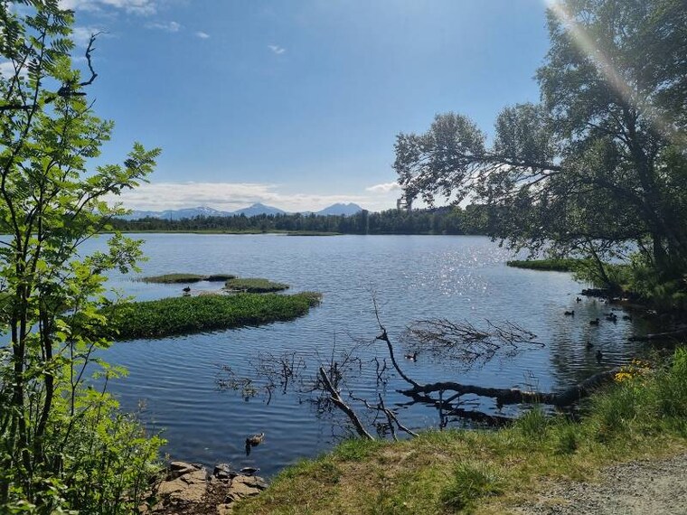 Tromso_Prestvannet_2