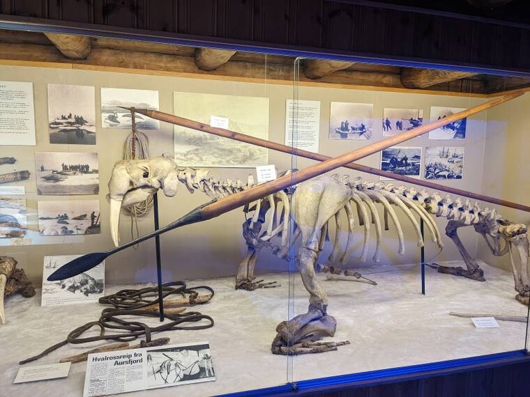 Tromso_The_Polar_Museum_1