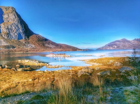 Grotfjorden